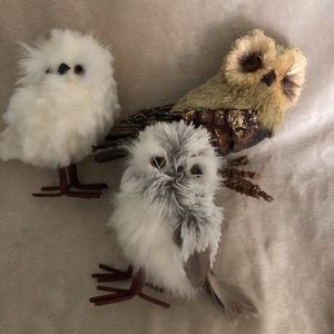 Set of three owl ornament/Decor